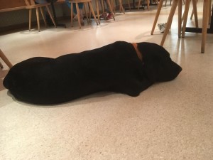 Skilager 2019 Donnerstag-0084